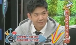 小s夫妻被爆料视频大全,揭秘娱乐圈背后的真相